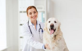 Save money on pet care