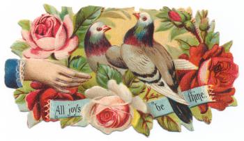 Antique Victorian Trade Card