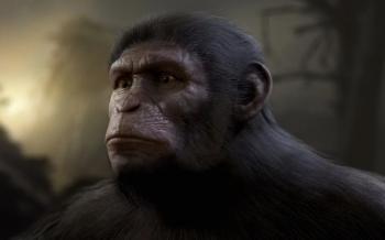 Bryn | Planet of the Apes Wiki | FANDOM powered by Wikia
