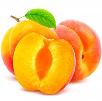 Fresh Frozen Organic Apricot Halves - Northwest Wild Foods