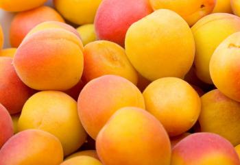 apricot | Foodimentary - National Food Holidays