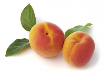Apricot Jam | Blue Owl Preserves