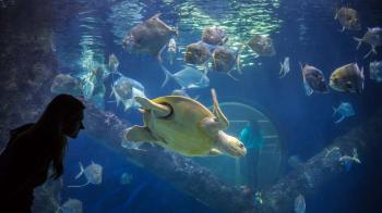 Virginia Aquarium & Marine Science Center