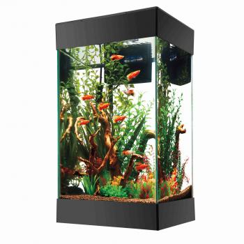 Aquarium Starter Kit | Fish Tank Kit | Aqueon Aquarium Products