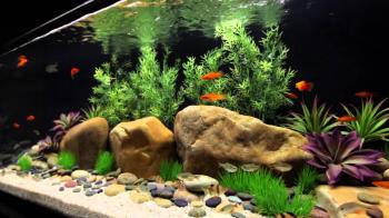 Satellite Freshwater LED+ Aquarium Light Fixture with Wireless ...