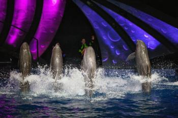 Georgia Aquarium | The Ritz-Carlton, Atlanta