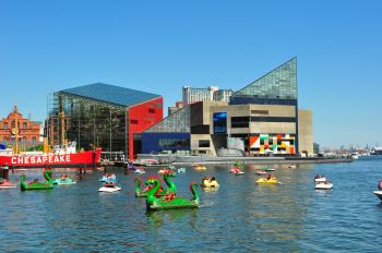 Top Eleven: Bambinos in Baltimore (Edited)