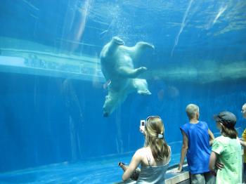 HOME| AQUATIC ENVIRONMENTS, INC.