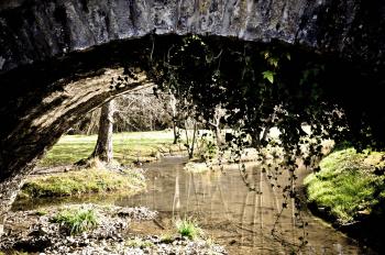 Arch bridge in nature