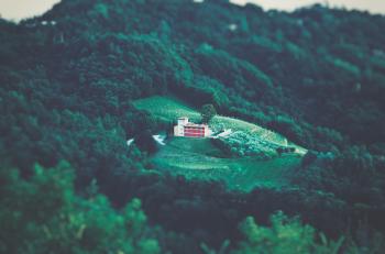 Areal Photography of White Building Surrounded by Forest