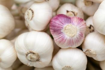 Aromatic Garlic