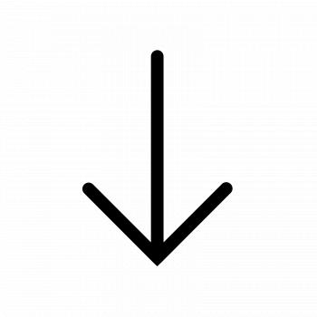 Down Arrow Icon - free download, PNG and vector