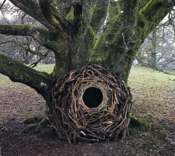 chaos and nature | Art & Cosmos