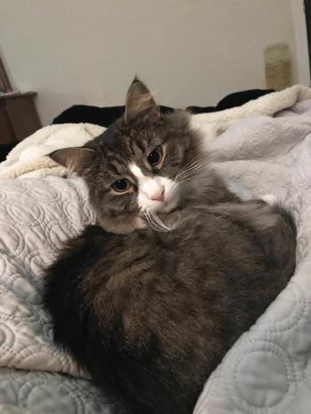 It's my Cakeday, so here's Arthas! - Album on Imgur