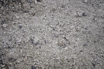 Free stock wood textures,ash, cg textures, free download, wood ...