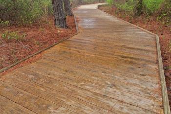 Assateague Island Boardwalk Trail - HDR