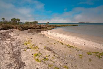 Assateague Island Marsh Beach - HDR