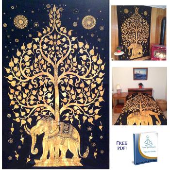Amazon.com: Your Spirit Space (TM) Black/Gold Good Luck Elephant ...