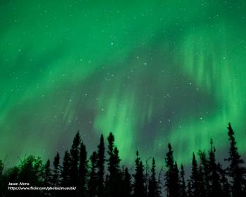 Aurorasaurus - Reporting Auroras from the Ground Up