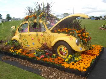 Images About Auto Garden On Pinterest Old Trucks Cars I Could Go ...