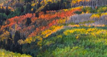 When does autumn start? Autumn officially starts TODAY but the ...