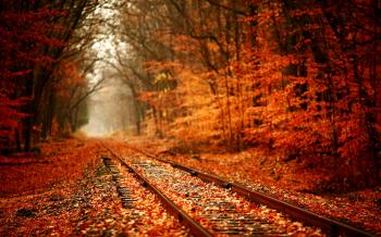 Autumn Leaves « sarsrose