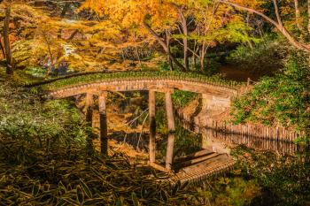 8 Best Spots in Tokyo for Viewing Autumn Leaves in 2016 | FAST JAPAN