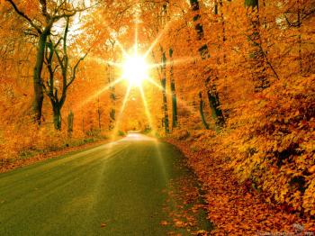 Autumn Beauty Wallpapers, Autumn Beauty PC Backgrounds (47, #54ZT ...