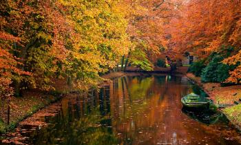 Forest: Autumn Beauty Reflection River Golden Trees Boat Beautiful ...