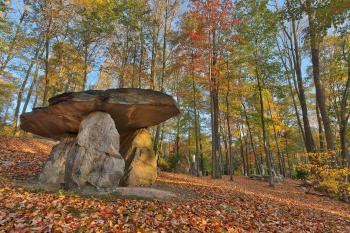 Autumn Dolmen Forest - HDR