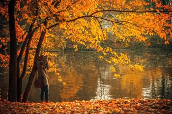 Autumn Lake Photographer Woman Free Stock Photo - NegativeSpace