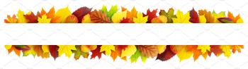 Isolated autumn leaves frame ~ Nature Photos ~ Creative Market