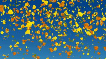 Falling autumn leaves in slow-motion on blue sky background. Fall ...