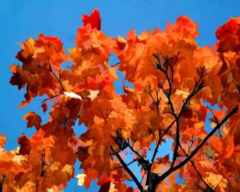 Red Autumn Leaves Against a Blue Sky Print, ORIGINAL OIL PAINTING, 8 ...