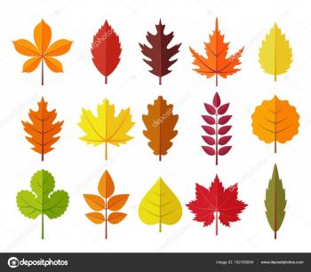 autumn leaves set, isolated on white background. simple cartoon flat ...