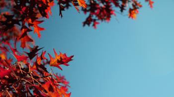 Autumn Mood 4k Wallpaper | UHD Images