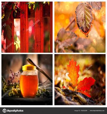 autumn mood conceptual collage — Stock Photo © sliper84 #169292266