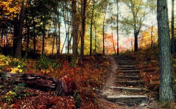 Foots in the autumn park / 3000 x 2000 / Forest / Photography ...
