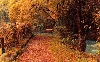 Miscellaneous Nature Fall Autumn Park Hd Pictures ~ Miscellaneous HD ...