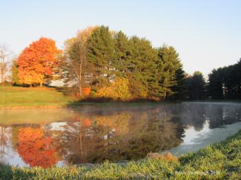 farm pond | Roadkill Crossing