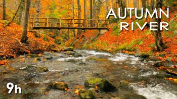 Autumn River Sounds - Relaxing Nature Video - Sleep/ Relax/ Study ...