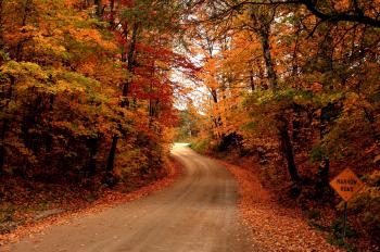 Autumn Road – Christian Women Online