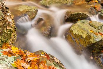 Autumn Rose River Stream - HDR