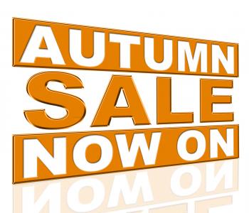 Autumn Sale Represents At The Moment And Cheap
