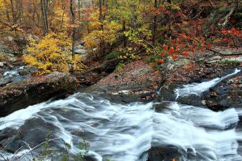 Autumn Stream Falls HDR | Creeks & Streams| Free Nature Pictures by ...