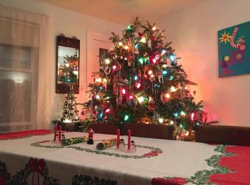 AWAITING CHRISTMAS EVE DINNER 2015 copy – The Official Blog of ...