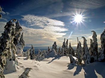 Awaiting the spring thaw wallpaper winter nature wallpapers for free ...