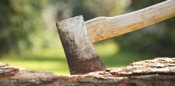 Closeup of a single bit axe with hickory handle - Pittsburgh's First ...