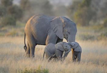 500px Blog » The passionate photographer community. » 29 Adorable ...