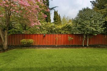 32 Brilliant Backyard Tree Ideas -